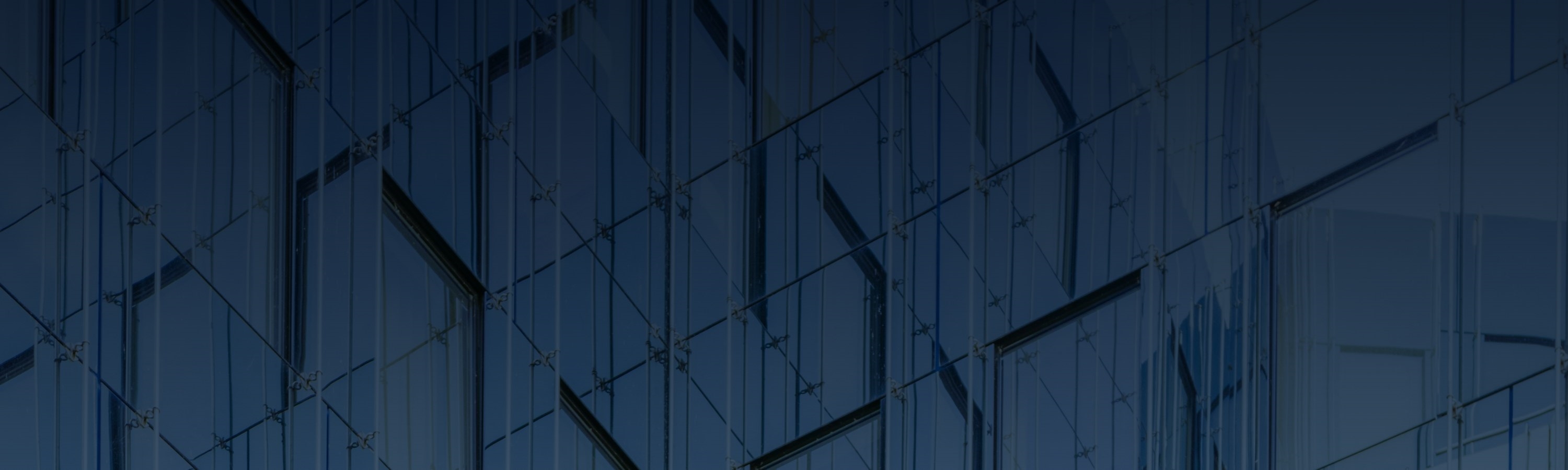 Wellton Outsourced Business Development Services